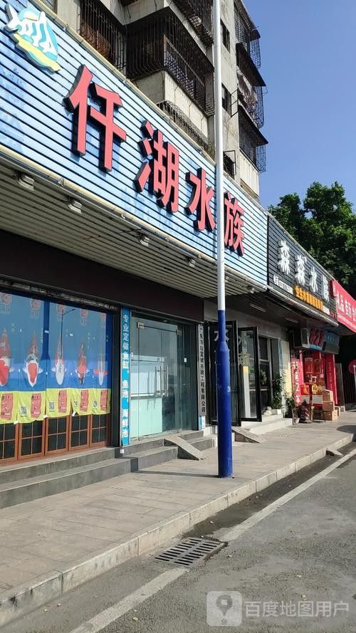 東莞開水族店怎么樣？加盟祥龍魚場賣龍魚市場怎樣？ 東莞開水族店怎么樣？加盟祥龍魚場賣龍魚市場怎樣？ 水族館百科（水族館加盟） 第6張