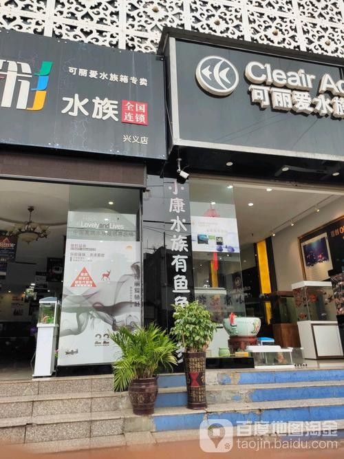 興義開水族店怎么樣？加盟祥龍魚場賣龍魚市場怎樣？