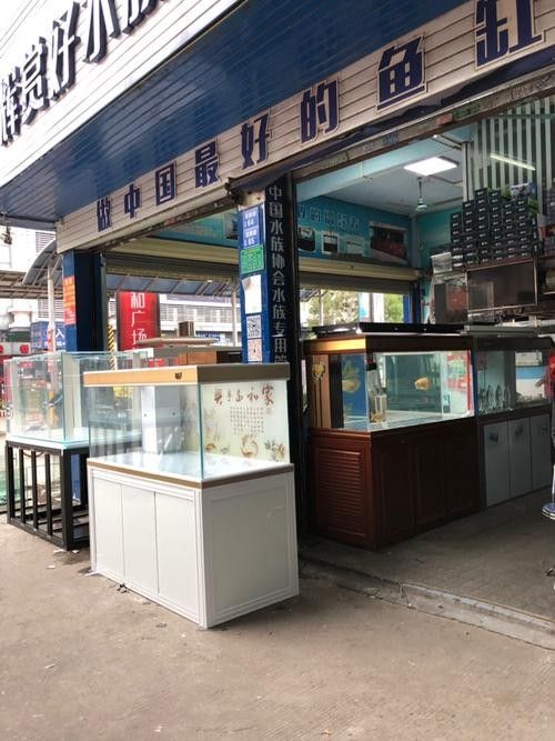 公安開水族店怎么樣？加盟祥龍魚場賣龍魚市場怎樣？