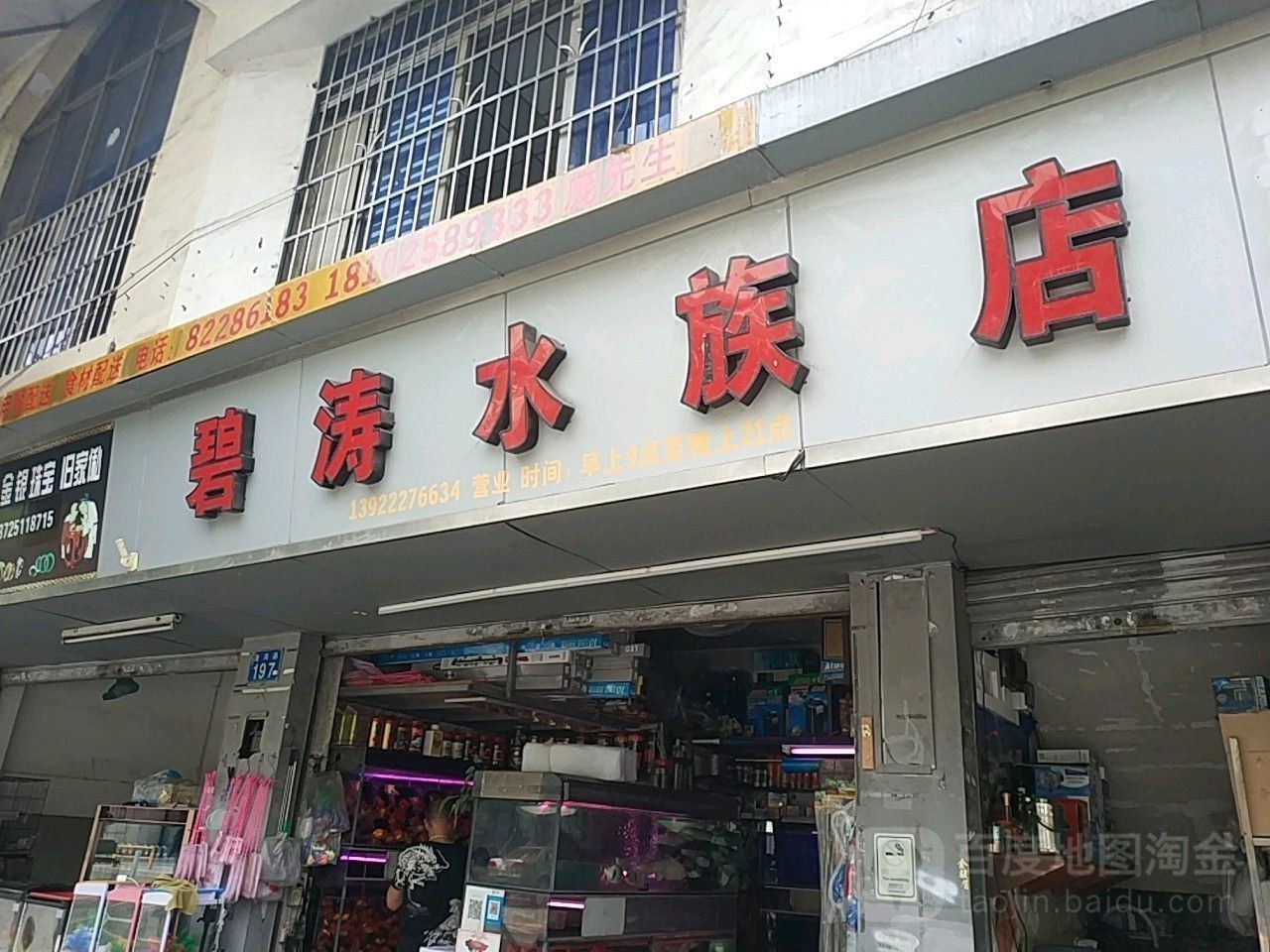 南崗開(kāi)水族店怎么樣？加盟祥龍魚(yú)場(chǎng)賣龍魚(yú)市場(chǎng)怎樣？ 南崗開(kāi)水族店怎么樣？加盟祥龍魚(yú)場(chǎng)賣龍魚(yú)市場(chǎng)怎樣？ 水族館百科（水族館加盟） 第1張