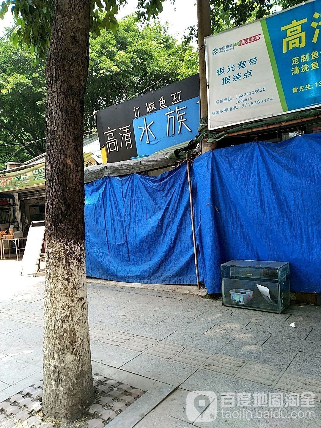 南崗開(kāi)水族店怎么樣？加盟祥龍魚(yú)場(chǎng)賣龍魚(yú)市場(chǎng)怎樣？ 南崗開(kāi)水族店怎么樣？加盟祥龍魚(yú)場(chǎng)賣龍魚(yú)市場(chǎng)怎樣？ 水族館百科（水族館加盟） 第2張