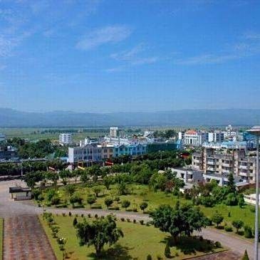 隴川開水族店怎么樣？加盟祥龍魚場賣龍魚市場怎樣？ 隴川開水族店怎么樣？加盟祥龍魚場賣龍魚市場怎樣？ 水族館百科（水族館加盟） 第8張