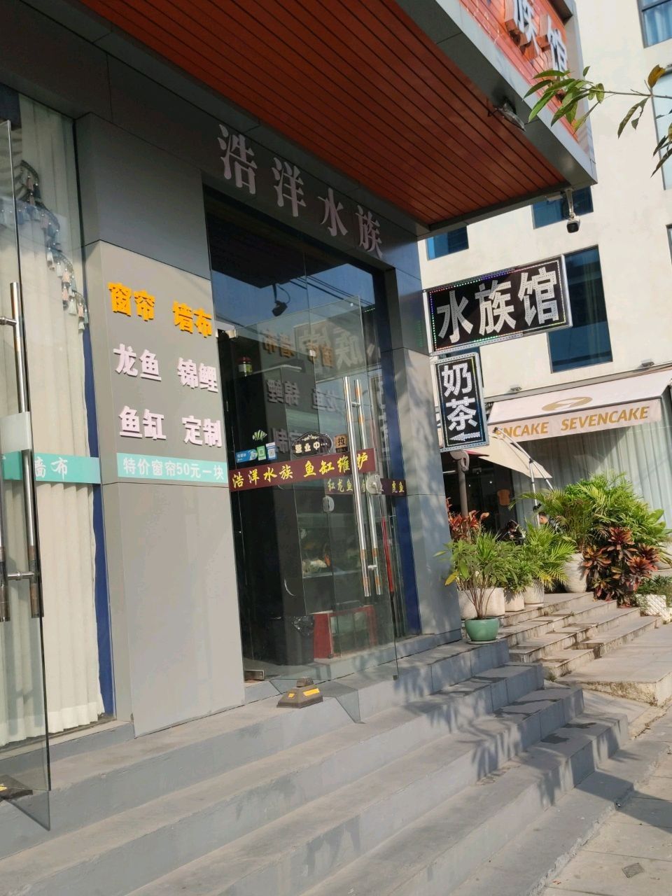 惠城開(kāi)水族店怎么樣？加盟祥龍魚(yú)場(chǎng)賣(mài)龍魚(yú)市場(chǎng)怎樣？ 惠城開(kāi)水族店怎么樣？加盟祥龍魚(yú)場(chǎng)賣(mài)龍魚(yú)市場(chǎng)怎樣？ 水族館百科（水族館加盟） 第2張