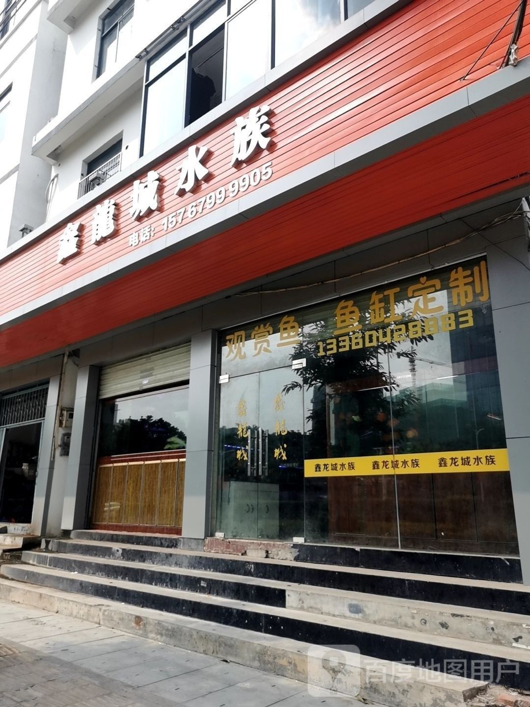 惠城開(kāi)水族店怎么樣？加盟祥龍魚(yú)場(chǎng)賣(mài)龍魚(yú)市場(chǎng)怎樣？ 惠城開(kāi)水族店怎么樣？加盟祥龍魚(yú)場(chǎng)賣(mài)龍魚(yú)市場(chǎng)怎樣？ 水族館百科（水族館加盟） 第3張