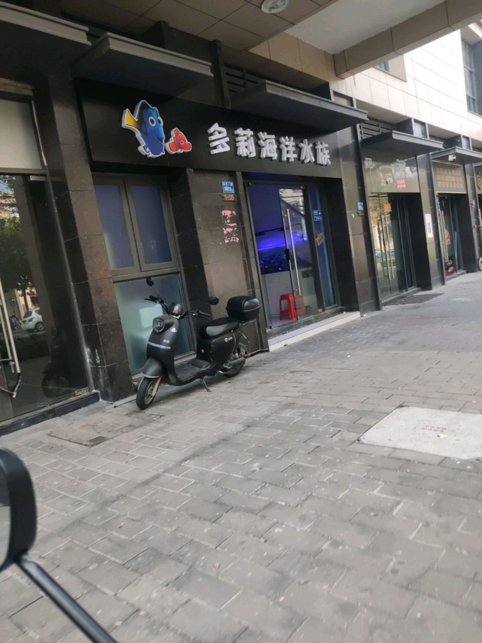 惠城開(kāi)水族店怎么樣？加盟祥龍魚(yú)場(chǎng)賣(mài)龍魚(yú)市場(chǎng)怎樣？ 惠城開(kāi)水族店怎么樣？加盟祥龍魚(yú)場(chǎng)賣(mài)龍魚(yú)市場(chǎng)怎樣？ 水族館百科（水族館加盟） 第1張