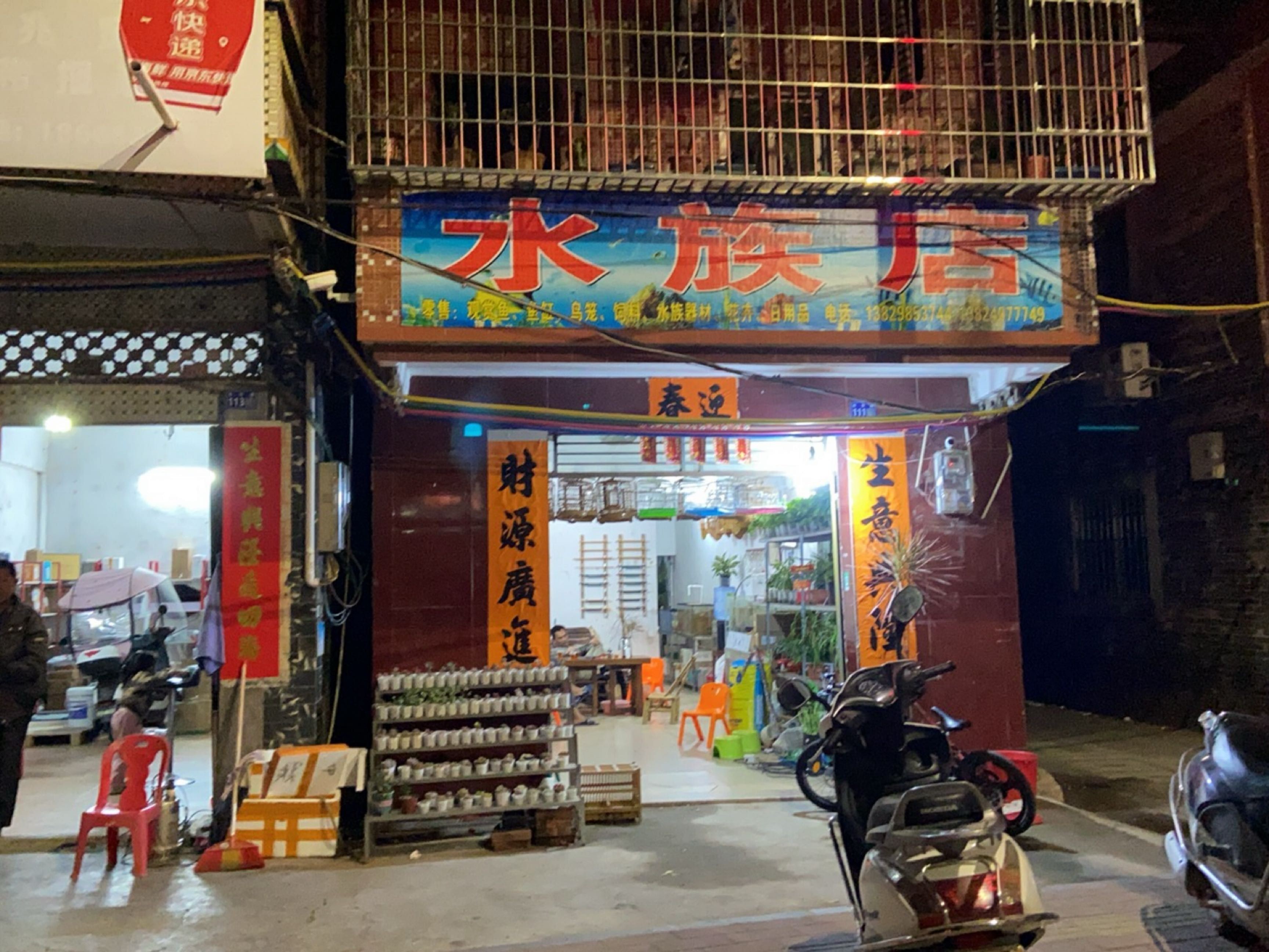 神木開水族店怎么樣？加盟祥龍魚場賣龍魚市場怎樣？