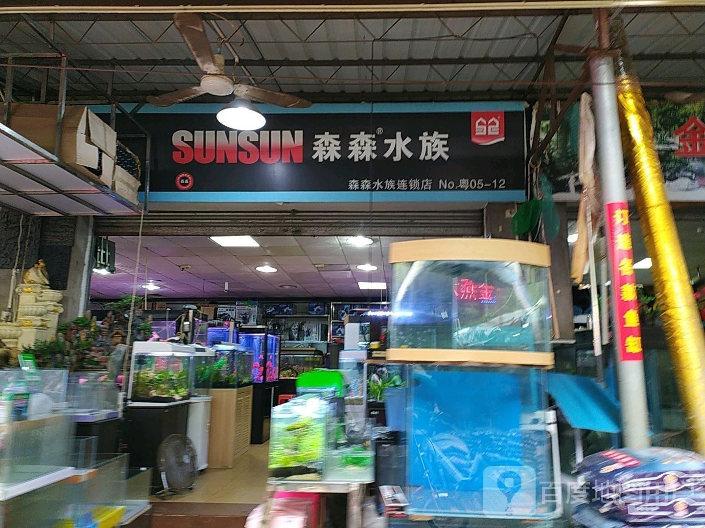 袁州區(qū)開水族店怎么樣？加盟祥龍魚場賣龍魚市場怎樣？