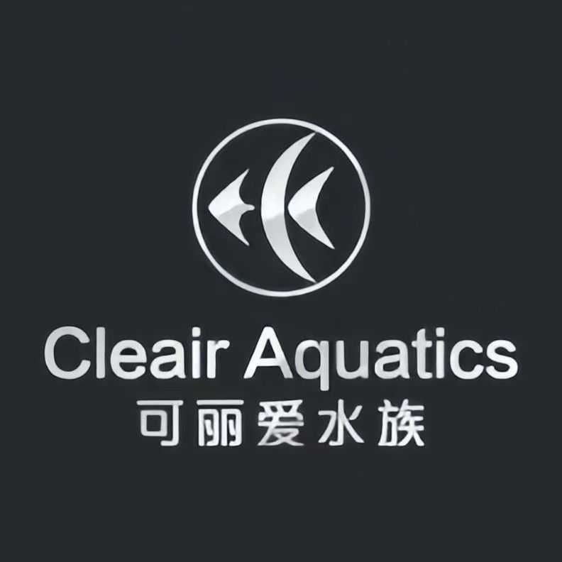 臨清開水族店怎么樣？加盟祥龍魚場賣龍魚市場怎樣？ 臨清開水族店怎么樣？加盟祥龍魚場賣龍魚市場怎樣？ 水族館百科（水族館加盟） 第1張