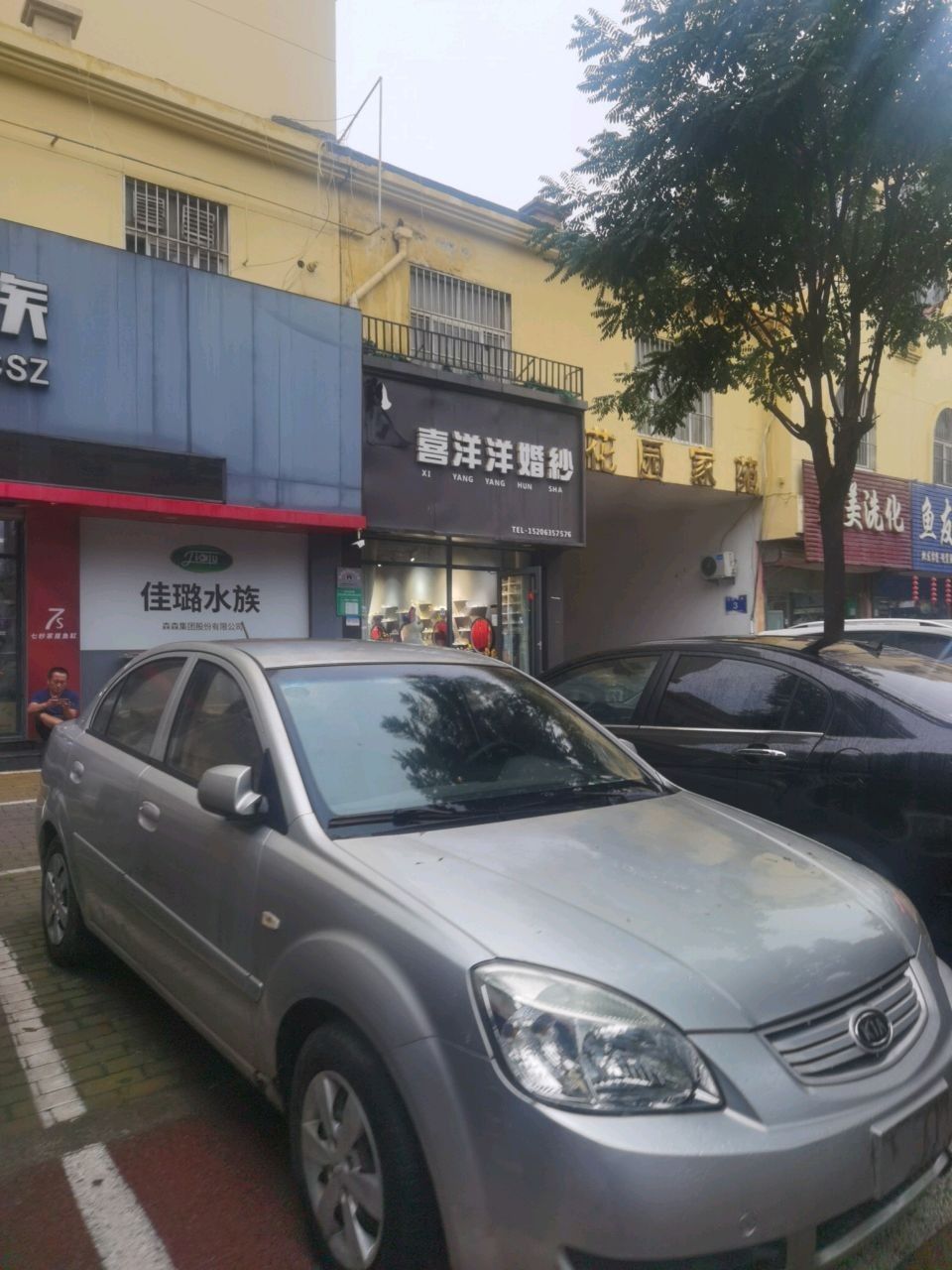臨清開水族店怎么樣？加盟祥龍魚場賣龍魚市場怎樣？ 臨清開水族店怎么樣？加盟祥龍魚場賣龍魚市場怎樣？ 水族館百科（水族館加盟） 第3張