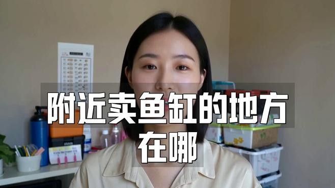 陵城開水族店怎么樣？加盟祥龍魚場賣龍魚市場怎樣？ 陵城開水族店怎么樣？加盟祥龍魚場賣龍魚市場怎樣？ 水族館百科（水族館加盟） 第7張