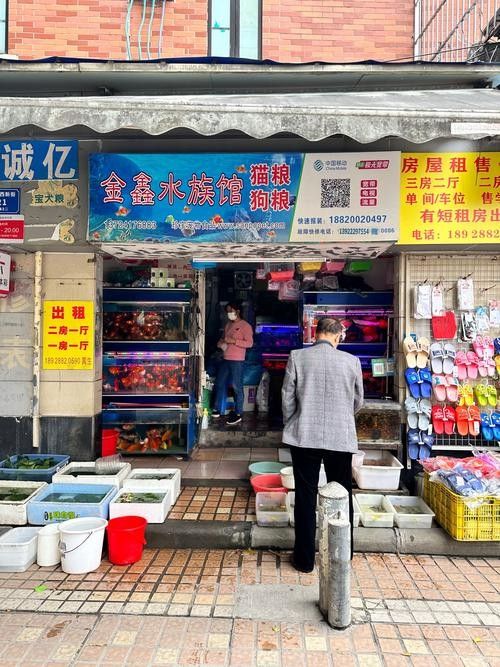 文登開水族店怎么樣？加盟祥龍魚場賣龍魚市場怎樣？