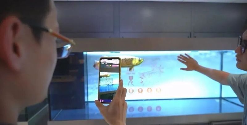 廣陵開水族店怎么樣？加盟祥龍魚場賣龍魚市場怎樣？