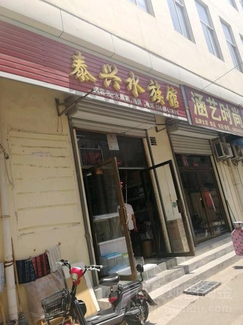 泰興開水族店怎么樣？加盟祥龍魚場賣龍魚市場怎樣？