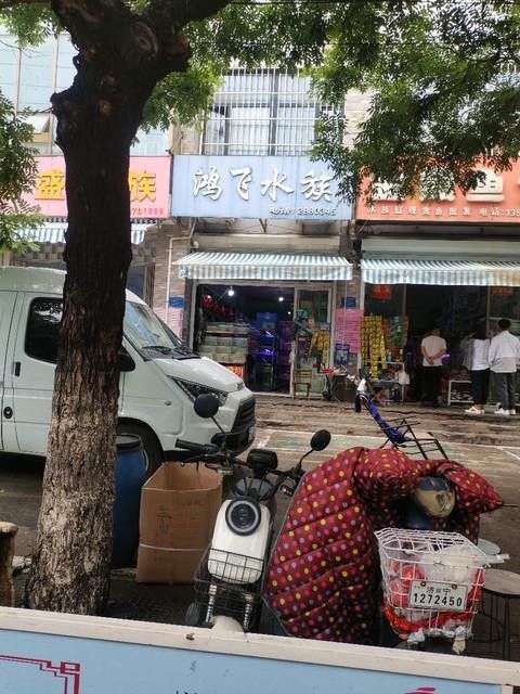 隰縣開水族店怎么樣？加盟祥龍魚場賣龍魚市場怎樣？ 隰縣開水族店怎么樣？加盟祥龍魚場賣龍魚市場怎樣？ 水族館百科（水族館加盟） 第6張