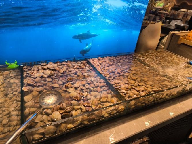 黃山風景開水族店怎么樣？加盟祥龍魚場賣龍魚市場怎樣？ 黃山風景開水族店怎么樣？加盟祥龍魚場賣龍魚市場怎樣？ 水族館百科（水族館加盟） 第5張
