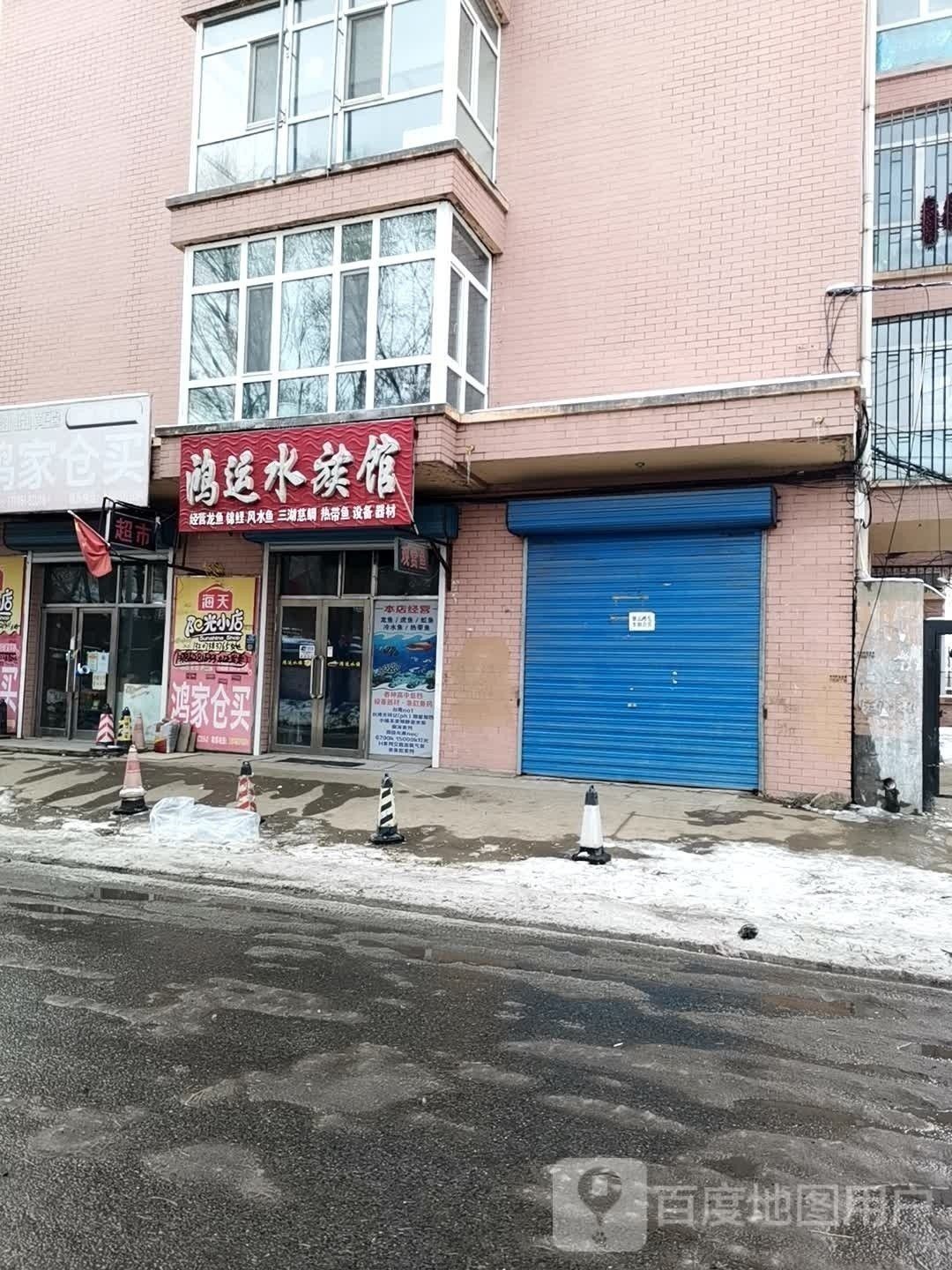 雙城開(kāi)水族店怎么樣？加盟祥龍魚(yú)場(chǎng)賣(mài)龍魚(yú)市場(chǎng)怎樣？ 雙城開(kāi)水族店怎么樣？加盟祥龍魚(yú)場(chǎng)賣(mài)龍魚(yú)市場(chǎng)怎樣？ 水族館百科（水族館加盟） 第1張