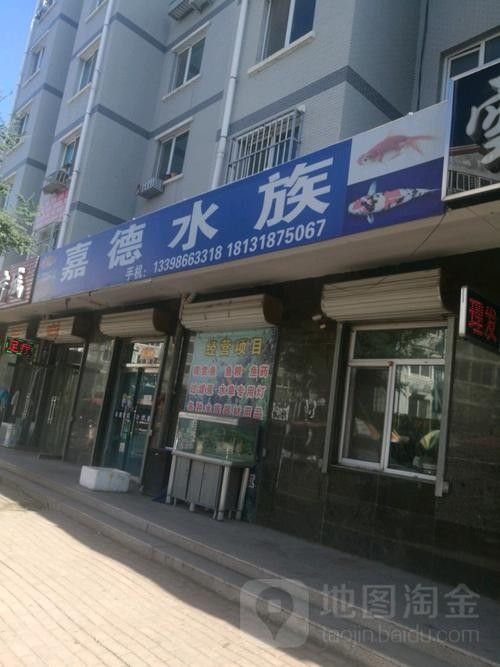承德縣開水族店怎么樣？加盟祥龍魚場賣龍魚市場怎樣？