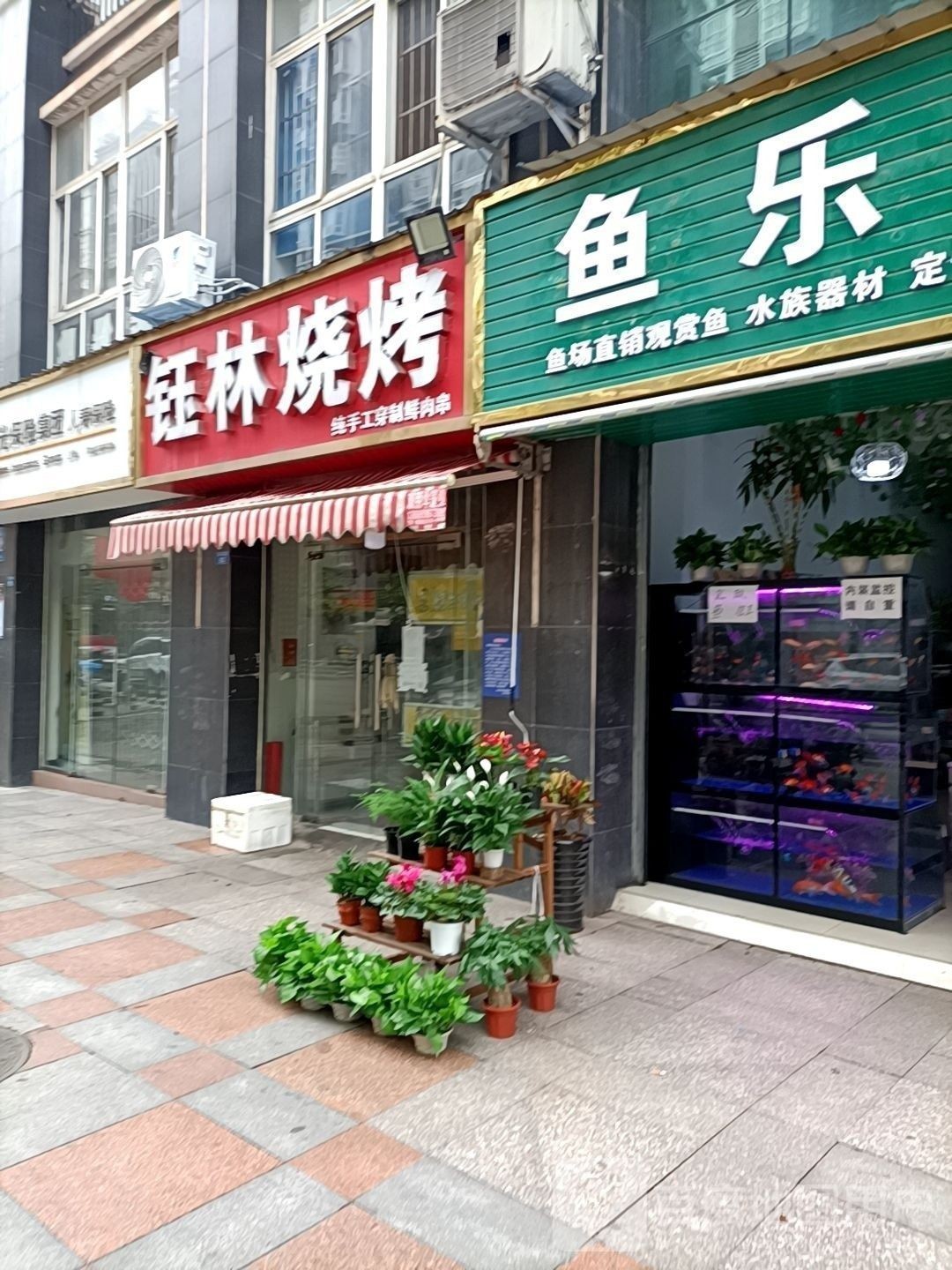 簡陽開水族店怎么樣？加盟祥龍魚場賣龍魚市場怎樣？ 簡陽開水族店怎么樣？加盟祥龍魚場賣龍魚市場怎樣？ 水族館百科（水族館加盟） 第1張