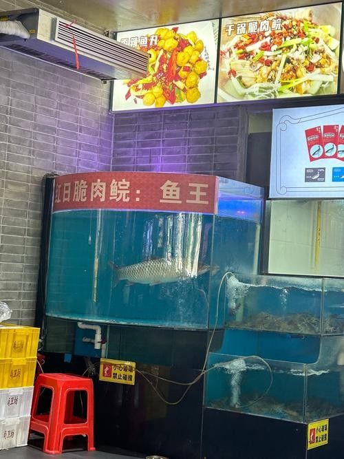 蚌山開水族店怎么樣？加盟祥龍魚場賣龍魚市場怎樣？