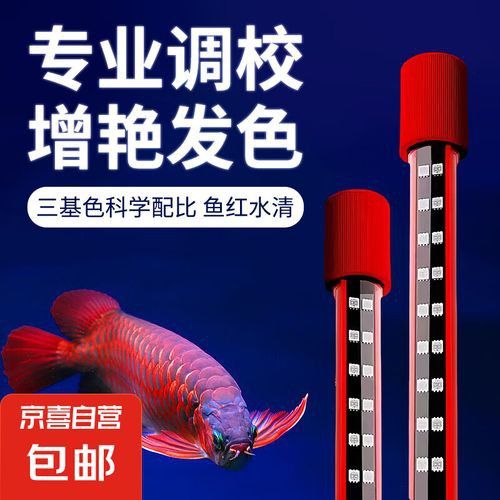 哪個(gè)品牌的龍魚燈最適合紅龍