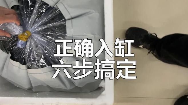 汝南開水族店怎么樣？加盟祥龍魚場賣龍魚市場怎樣？