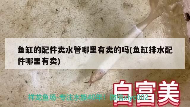 魚缸的配件賣水管哪里有賣的嗎(魚缸排水配件哪里有賣)