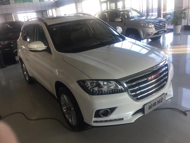 雙鴨山開水族店怎么樣？加盟祥龍魚場賣龍魚市場怎樣？