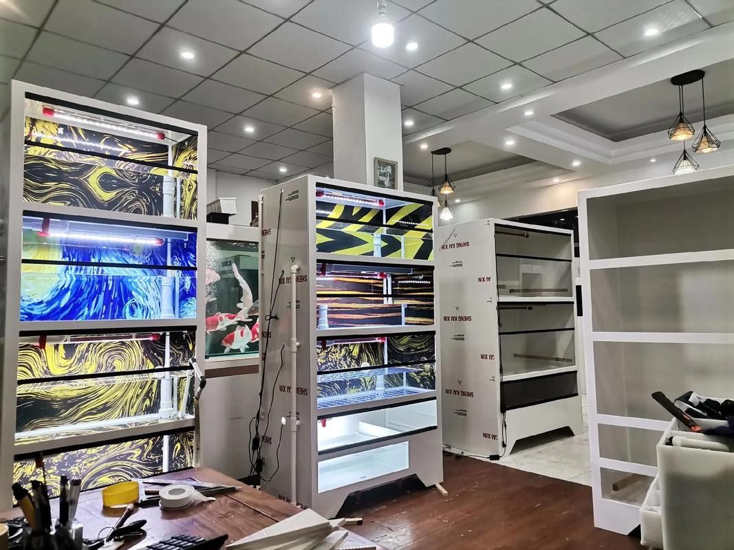 仙桃開水族店怎么樣？加盟祥龍魚場賣龍魚市場怎樣？