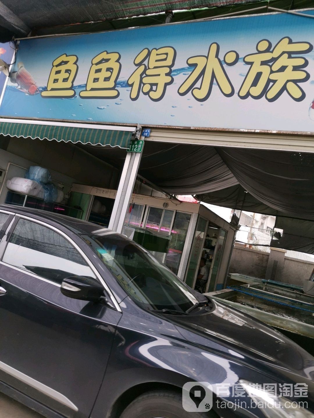 江城開水族店怎么樣？加盟祥龍魚場賣龍魚市場怎樣？