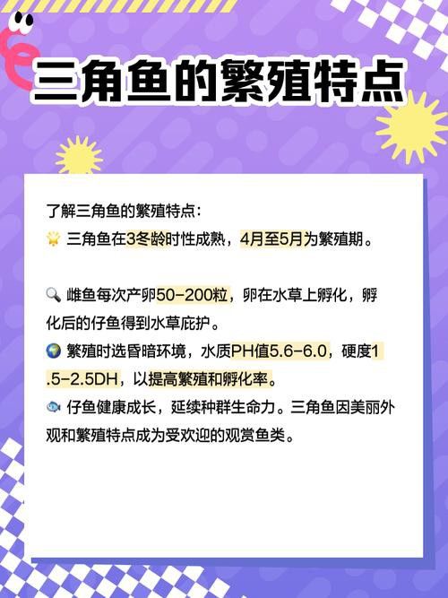 三角恐龍魚吃什么？咬人嗎圖片