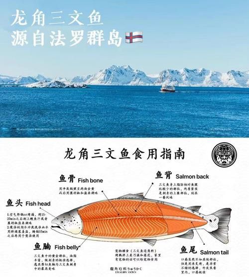 三角恐龍魚吃什么？咬人嗎圖片
