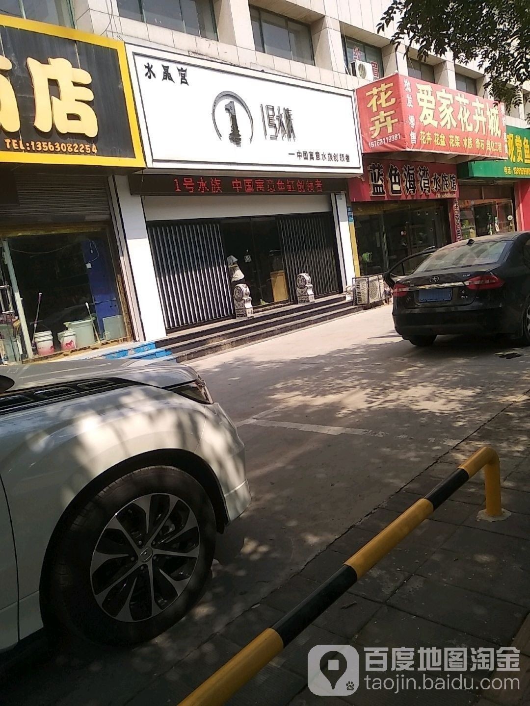濱州開水族店怎么樣？加盟祥龍魚場賣龍魚市場怎樣？