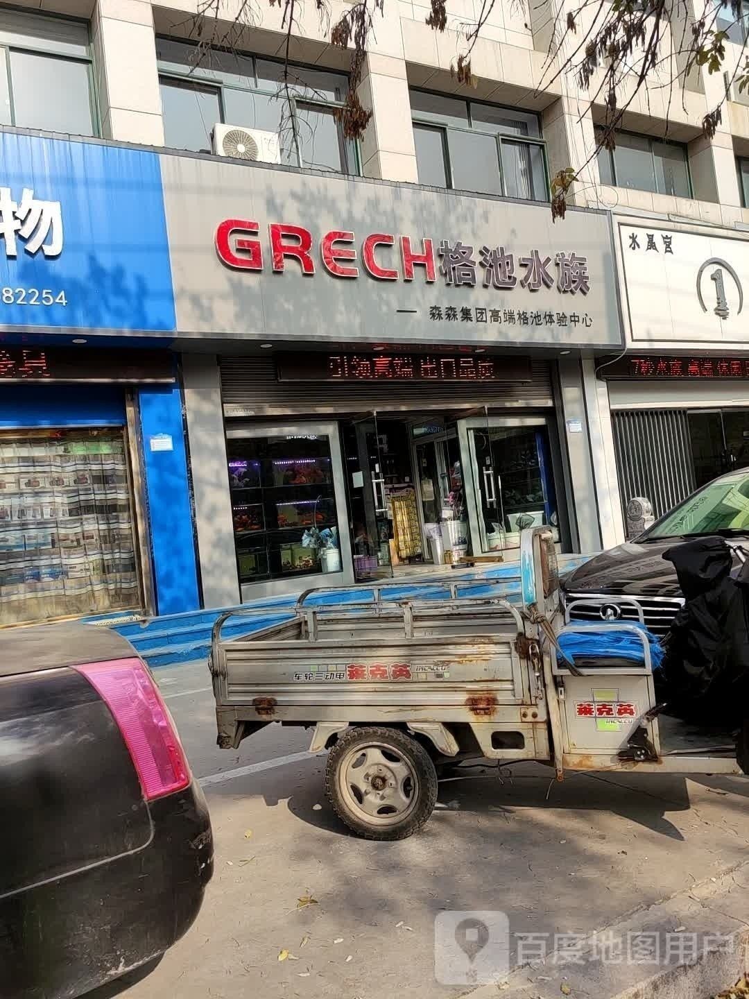 濱州開水族店怎么樣？加盟祥龍魚場賣龍魚市場怎樣？