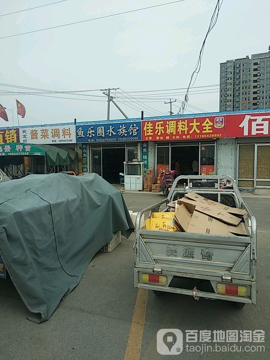 濱州開水族店怎么樣？加盟祥龍魚場賣龍魚市場怎樣？