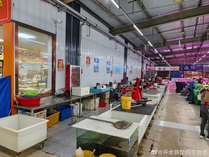 琿春開水族店怎么樣？加盟祥龍魚場賣龍魚市場怎樣？
