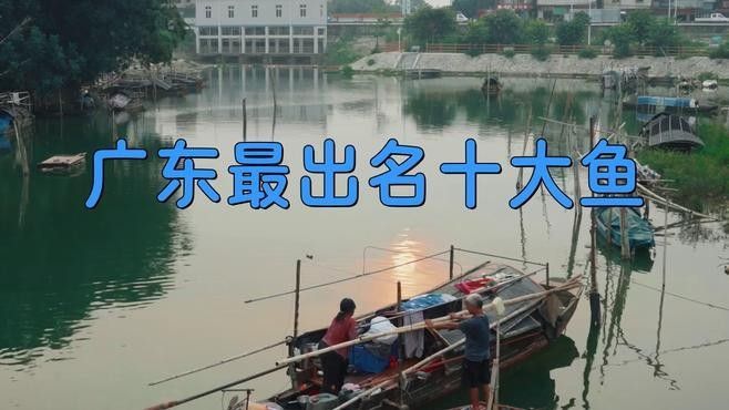 南部開水族店怎么樣？加盟祥龍魚場賣龍魚市場怎樣？ 南部開水族店怎么樣？加盟祥龍魚場賣龍魚市場怎樣？ 水族館百科（水族館加盟） 第2張