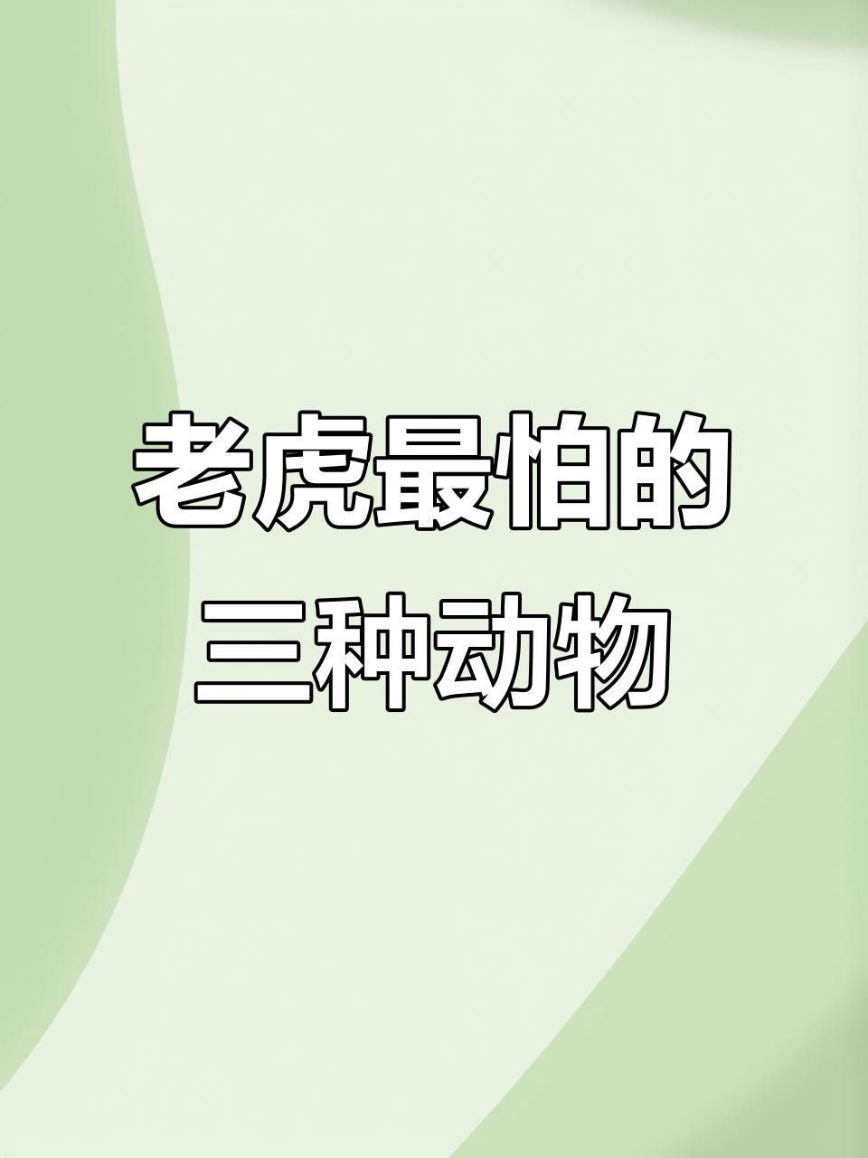 老虎的天敵