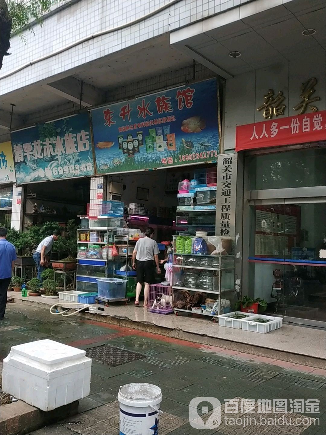湞江開水族店怎么樣？加盟祥龍魚場賣龍魚市場怎樣？