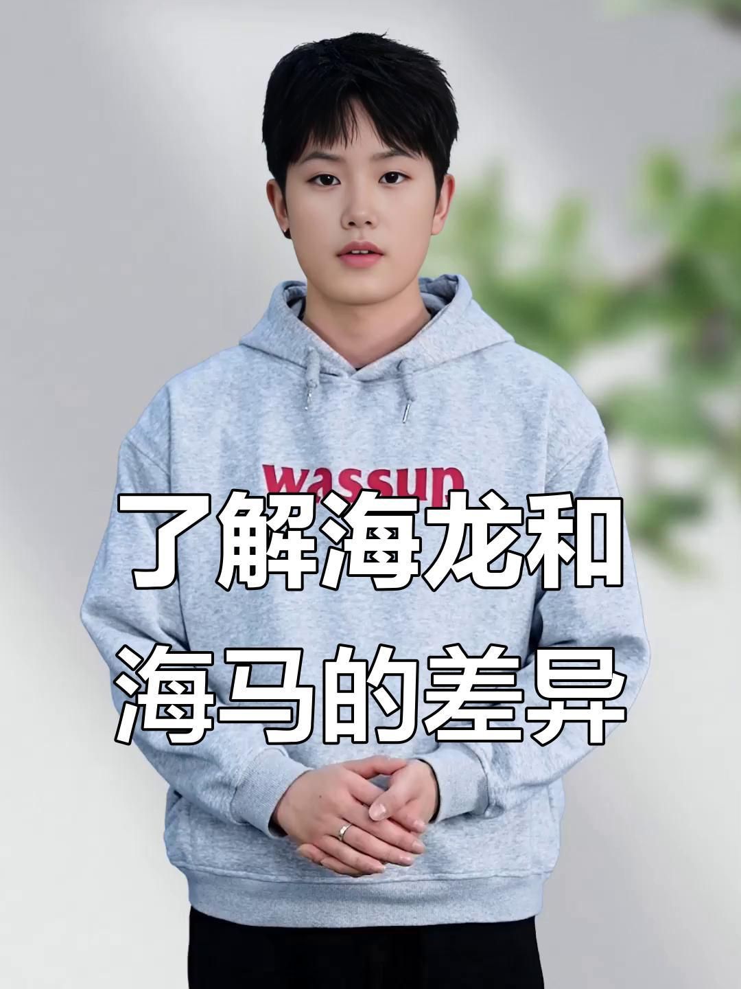 如何區分海龍與海馬？