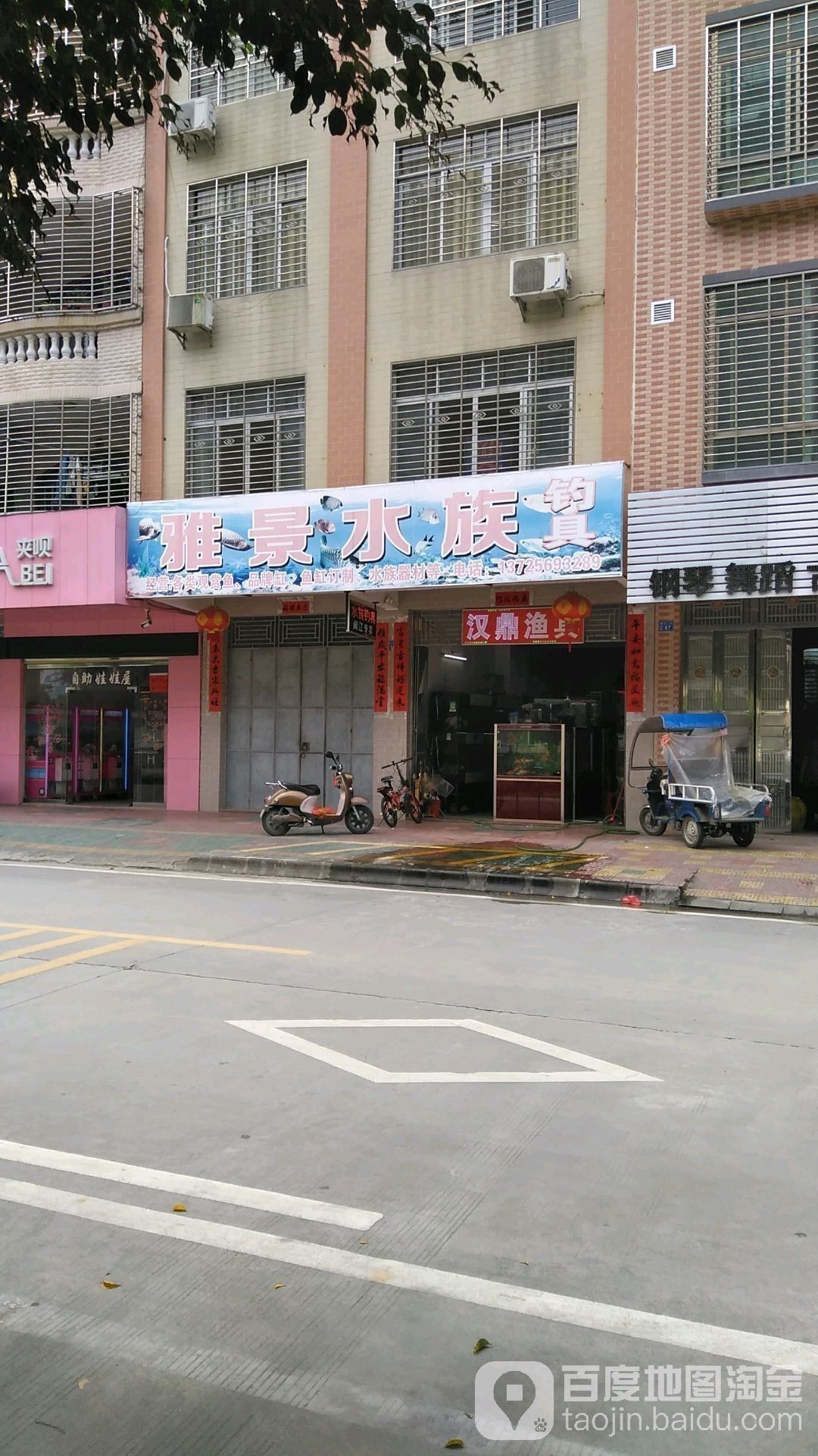 紫金開水族店怎么樣？加盟祥龍魚場賣龍魚市場怎樣？ 紫金開水族店怎么樣？加盟祥龍魚場賣龍魚市場怎樣？ 水族館百科（水族館加盟） 第1張