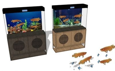 養銀龍魚要多大的魚缸：養銀龍魚需要一個足夠大的魚缸來滿足它們生長需求