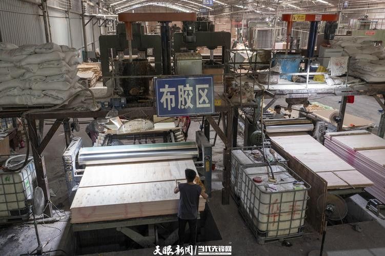 從江開水族店怎么樣？加盟祥龍魚場賣龍魚市場怎樣？