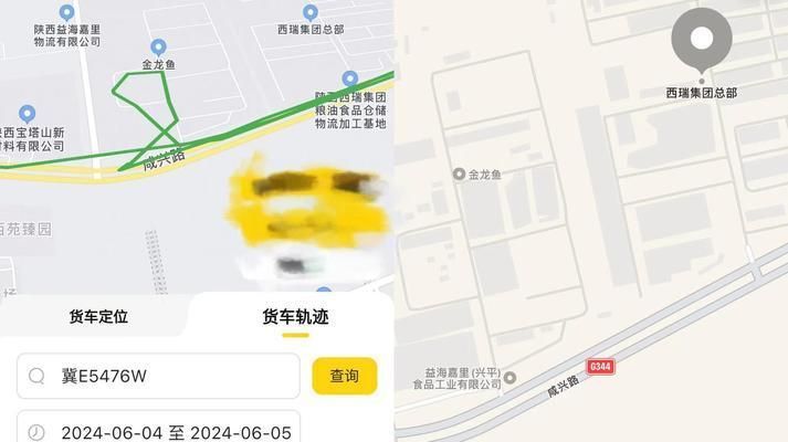 銀川金龍魚：銀川金龍魚市場價格波動原因