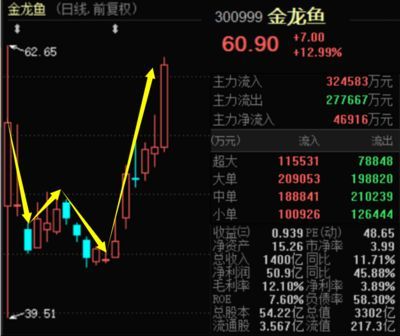 金龍魚下跌：金龍魚是否下跌
