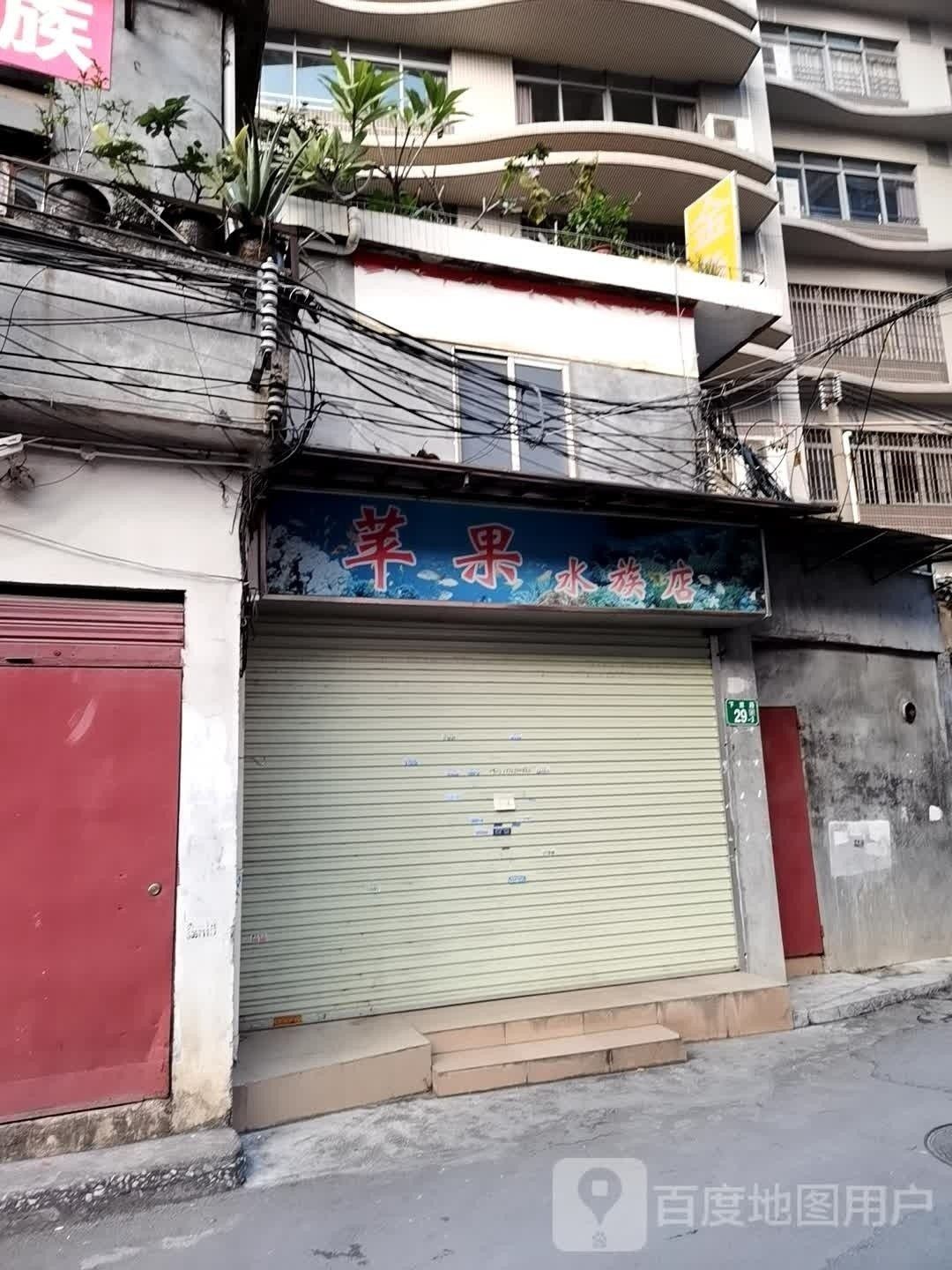霍林郭勒開水族店怎么樣？加盟祥龍魚場賣龍魚市場怎樣？ 霍林郭勒開水族店怎么樣？加盟祥龍魚場賣龍魚市場怎樣？ 水族館百科（水族館加盟） 第2張