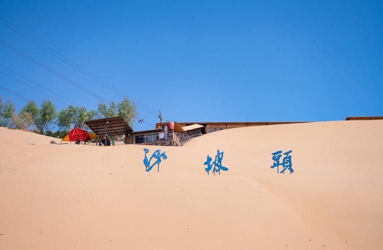 沙坡頭開水族店怎么樣？加盟祥龍魚場賣龍魚市場怎樣？