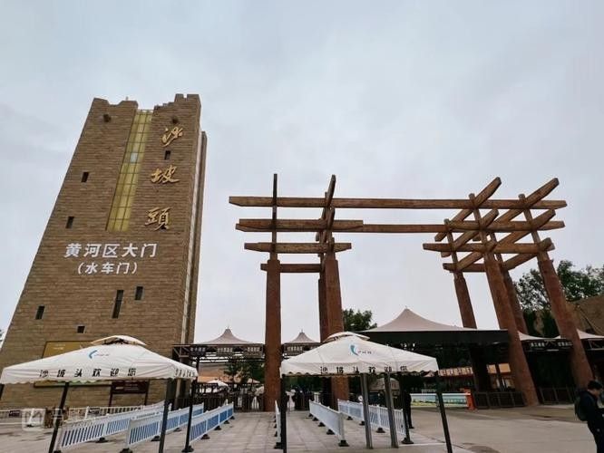 沙坡頭開水族店怎么樣？加盟祥龍魚場賣龍魚市場怎樣？