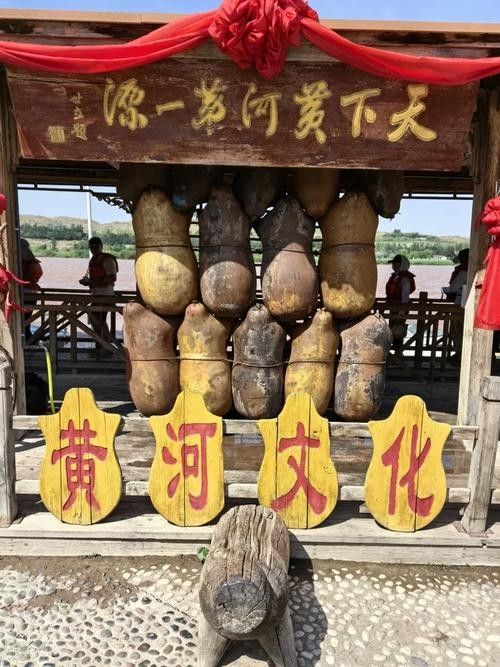 沙坡頭開水族店怎么樣？加盟祥龍魚場賣龍魚市場怎樣？