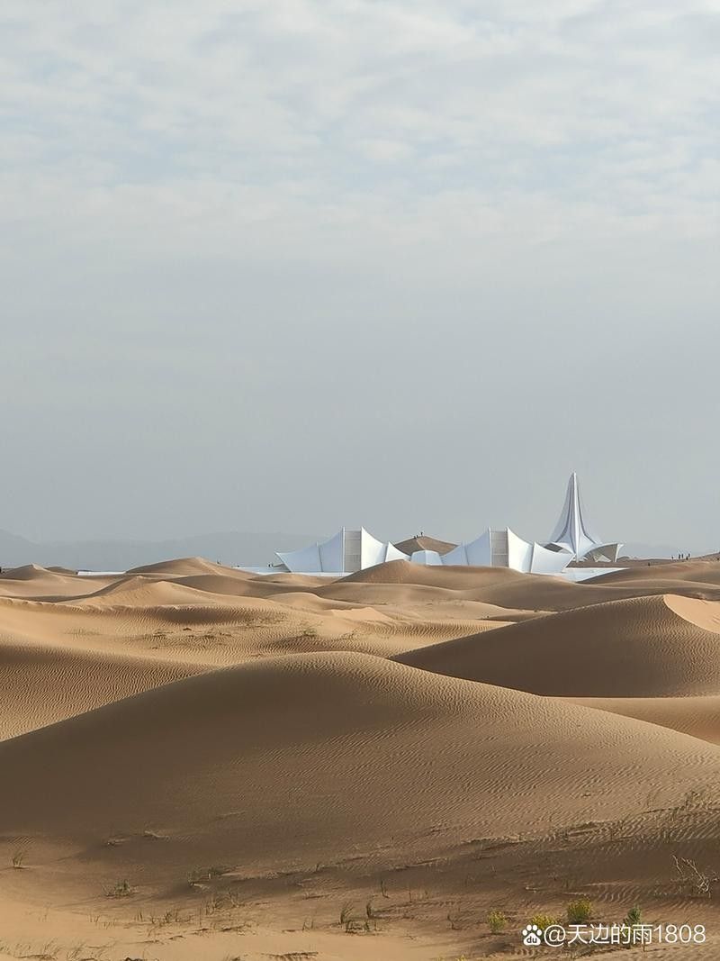 沙坡頭開水族店怎么樣？加盟祥龍魚場賣龍魚市場怎樣？