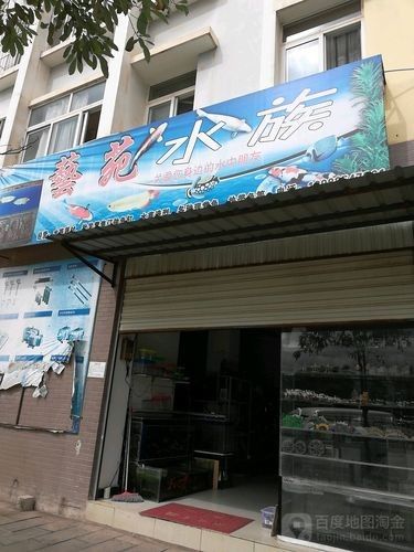 彌渡開水族店怎么樣？加盟祥龍魚場賣龍魚市場怎樣？
